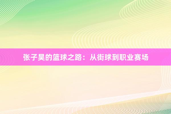 张子昊的篮球之路：从街球到职业赛场